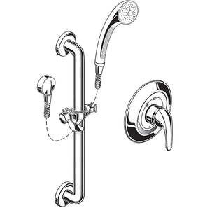 American Standard 1662.SG221 Trim  Multi Function Hand Shower, Polished Chrome